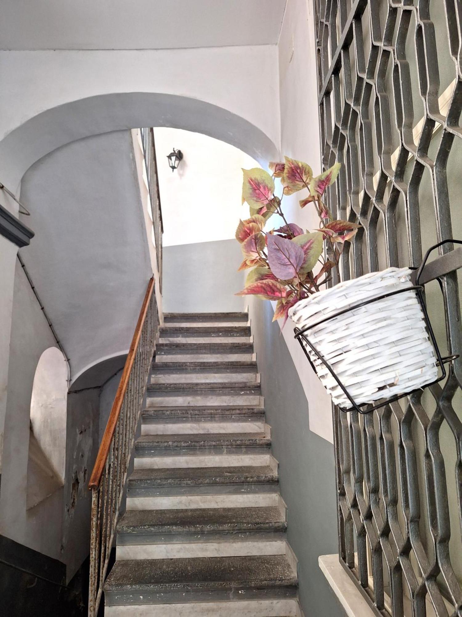Apartament La Casa Di Luale E Zoe Neapol Zewnętrze zdjęcie